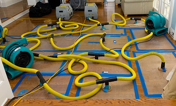 Professional Water Damage Restoration technician working in Memphis, IN